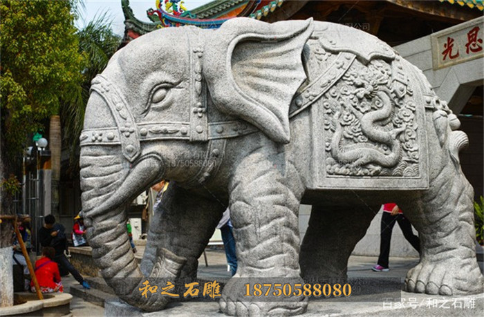 石雕大象龙图案