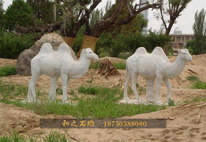 骆驼石雕